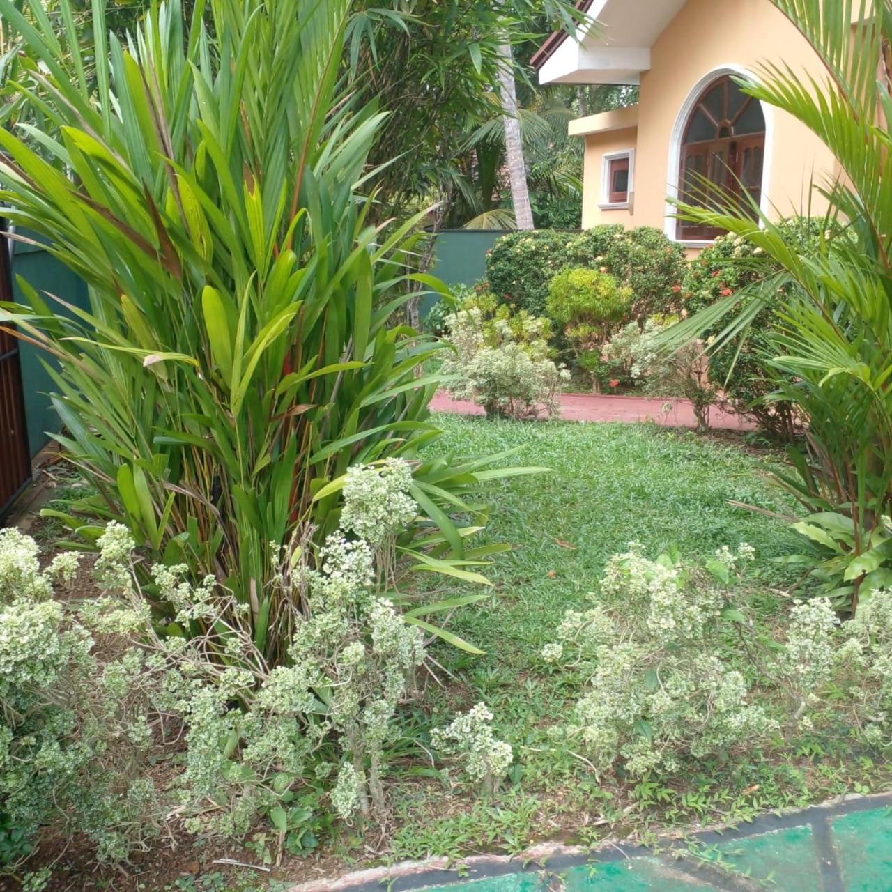 Grace Villa Bentota Luaran gambar